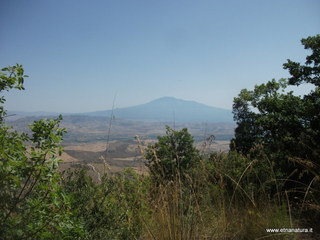 Monte Iudica
